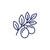 ZIZIPHUS icon